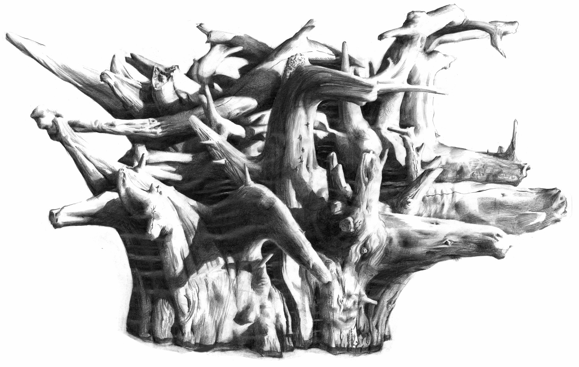 malynka portfolio 6 1