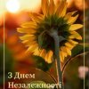 Онлайн-виставка до Дня незалежності України