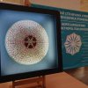 Культурно-мистецький проєкт «Qalqan / Щит» у Київському столичному університеті імені Бориса Грінченка!
