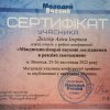 КОНФЕРЕНЦІЯ ФАКУЛЬТЕТУ. Всеукраїнська науково-практична онлайн-конференція «Етнокультурні традиції в образотворчому мистецтві та дизайні України»