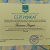 КОНФЕРЕНЦІЯ ФАКУЛЬТЕТУ. Всеукраїнська науково-практична онлайн-конференція «Етнокультурні традиції в образотворчому мистецтві та дизайні України»