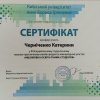 КОНФЕРЕНЦІЯ ФАКУЛЬТЕТУ. Всеукраїнська науково-практична онлайн-конференція «Етнокультурні традиції в образотворчому мистецтві та дизайні України»