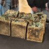 Відкриття виставки здобувачок  1 курсу спеціальності Образотворче мистецтво 